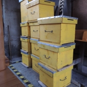 Stupi furaţi de cei trei hoţi şi recuperaţi de poliţiştii clujeni. Foto: IPJ Cluj